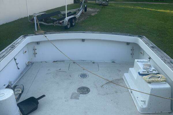 Photo of the 1980 Topaz Express "Rip Runner II"