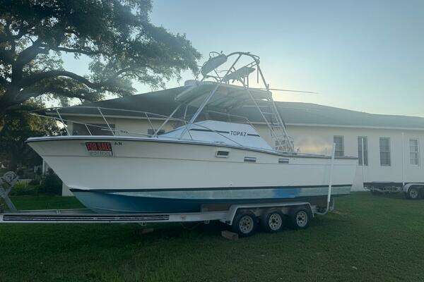 Photo of the 1980 Topaz Express "Rip Runner II"