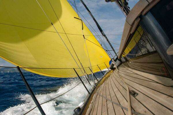 Photo of the 2026 Black Pepper Code 2