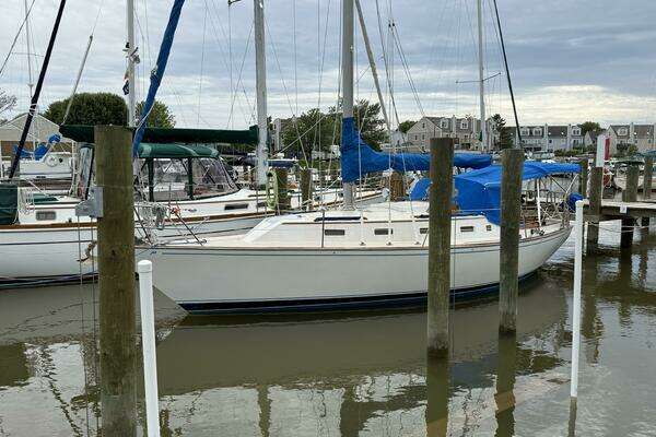 Photo of the 1983 Morgan 