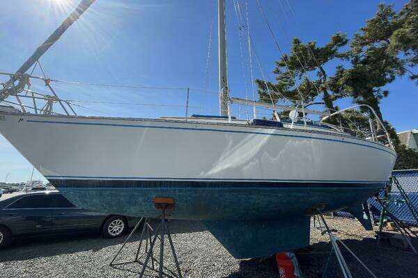 Photo of the 1983 Morgan 