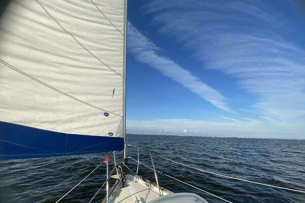 Photo of the 1983 Morgan 