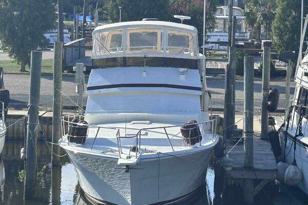 Photo of the 1988 Viking Motor Yacht "The Briar Patch"