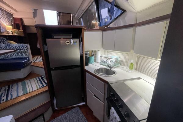 Carmina Purrana 33ft Carver Yacht For Sale