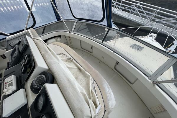 Carmina Purrana 33ft Carver Yacht For Sale