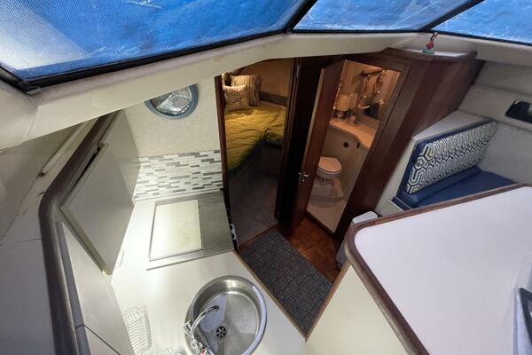 Carmina Purrana 33ft Carver Yacht For Sale