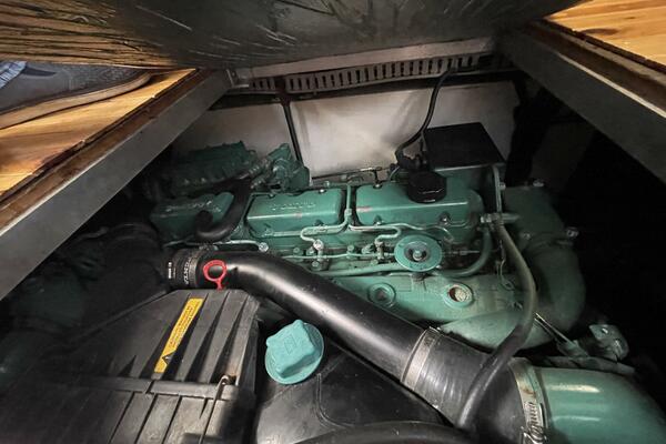 Carmina Purrana 33ft Carver Yacht For Sale