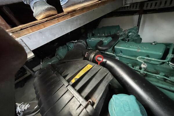 Carmina Purrana 33ft Carver Yacht For Sale