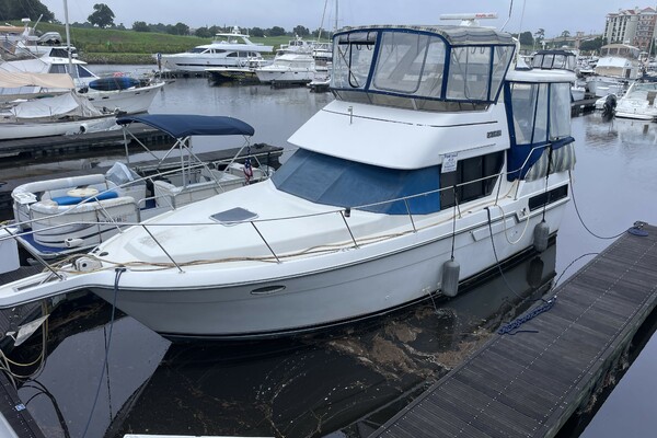 Carmina Purrana 33ft Carver Yacht For Sale