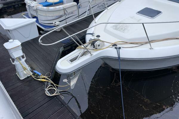 Carmina Purrana 33ft Carver Yacht For Sale