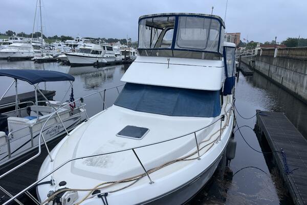 Carmina Purrana 33ft Carver Yacht For Sale