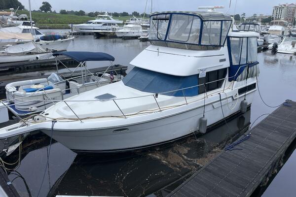 Carmina Purrana 33ft Carver Yacht For Sale