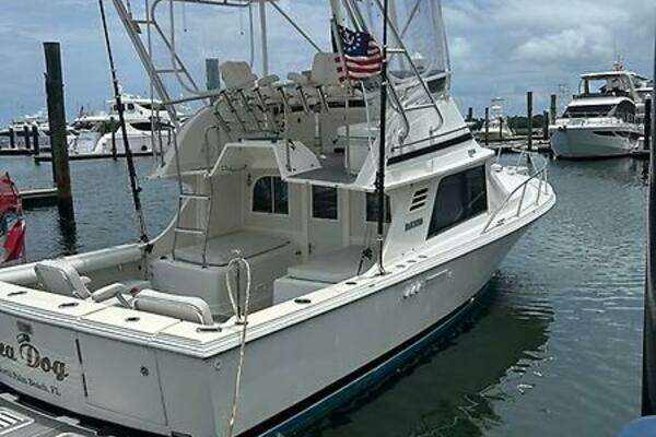 Photo of the 1994 Blackfin Sportfish "Sea Dog"