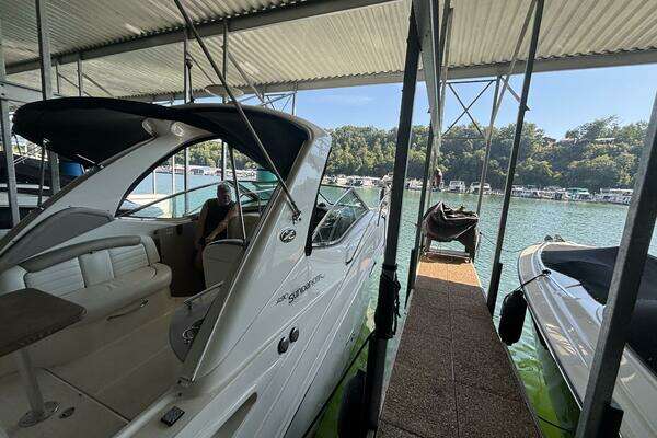 Photo of the 2008 Sea Ray 290 Sundancer