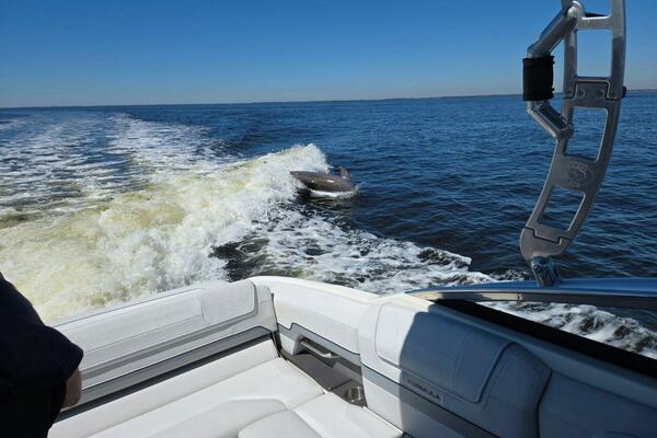 27ft Formula Yacht For Sale