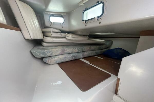 Black Dog 27ft Catalina Yacht For Sale