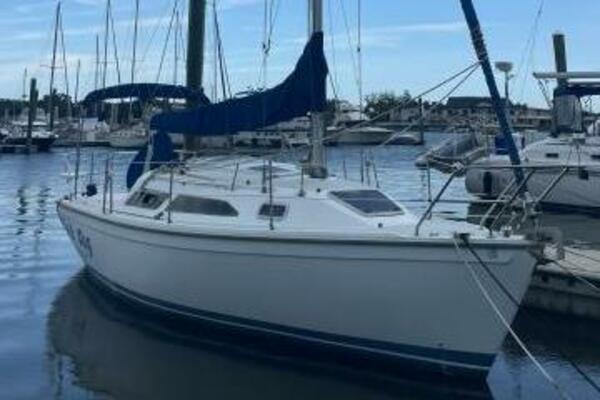 Black Dog 27ft Catalina Yacht For Sale