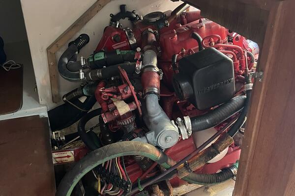 Black Dog 27ft Catalina Yacht For Sale