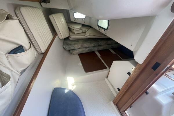 Black Dog 27ft Catalina Yacht For Sale