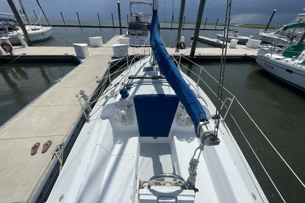 Black Dog 27ft Catalina Yacht For Sale