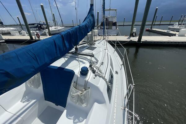 Black Dog 27ft Catalina Yacht For Sale