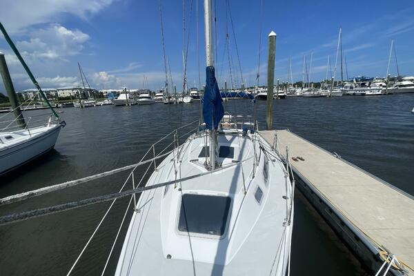 Black Dog 27ft Catalina Yacht For Sale