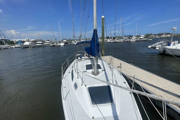 Black Dog 27ft Catalina Yacht For Sale