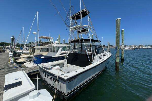 Photo of the 1988 Rampage  "Half Moon"