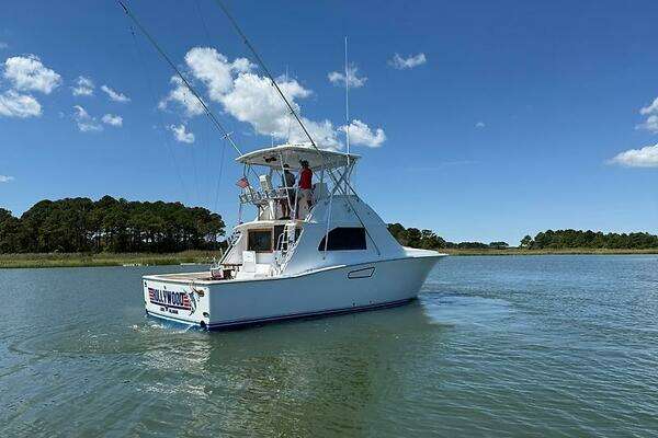 38-ft-Bertram-1979-38-HOLLYWOOD-Indian River Delaware United States yacht for sale