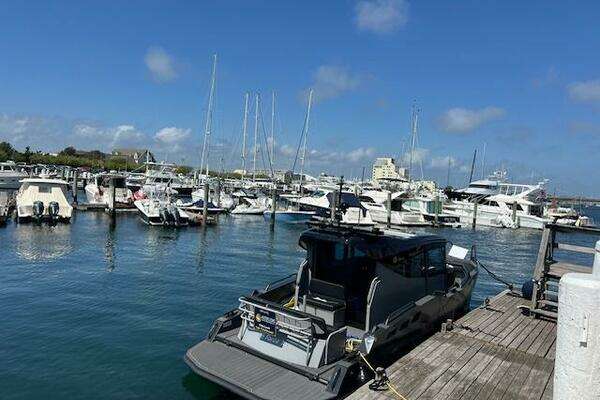 Photo of the 2024 G-Force G Force 10