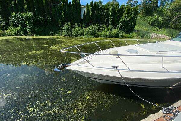 Photo of the 2002 Riviera 47 Excalibur "Waypointe"