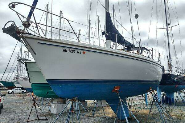 Catalina 36 Yacht For Sale