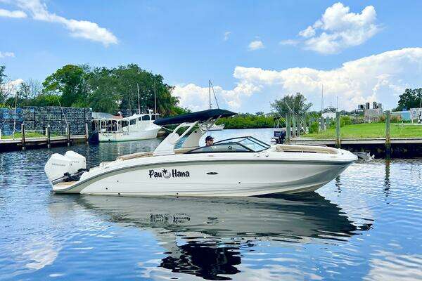 29-ft-Sea Ray-2019-SDX 250 OB-Tarpon Springs Florida United States yacht for sale