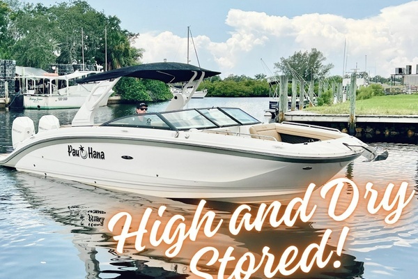 Photo of the 2019 Sea Ray SDX 290 OB