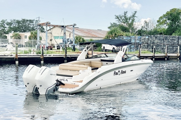 Photo of the 2019 Sea Ray SDX 290 OB