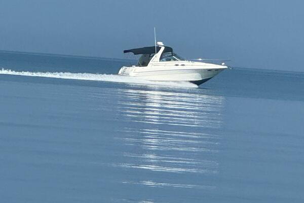 31ft Sea Ray Yacht For Sale