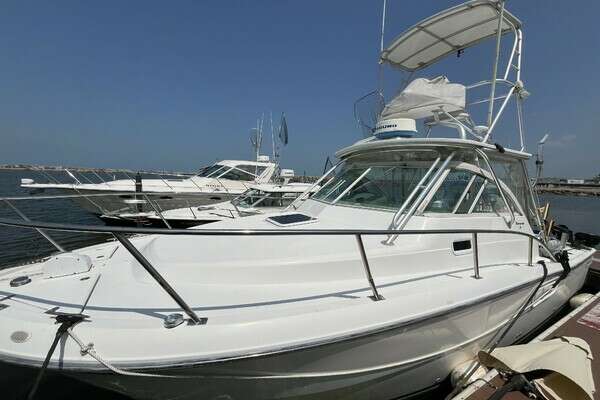 30-ft-Rampage-2001-Rampage 30 Express Open-Lucky Dog Oswego New York United States  yacht for sale