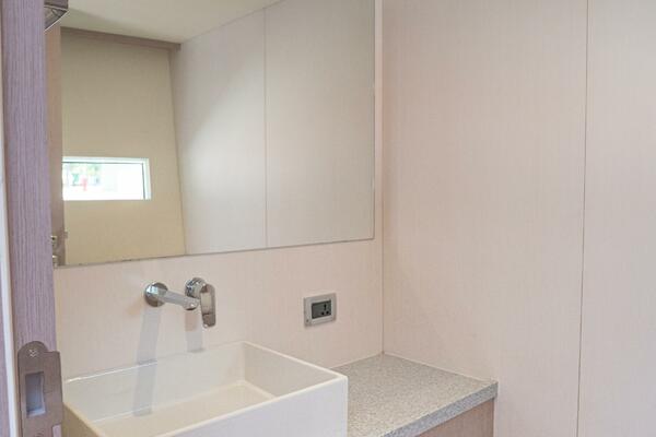 Alva OE 54 Master Water Closet With Vanity