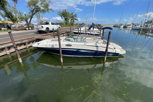Photo of the 2010 Sea Ray 280 Sun Deck