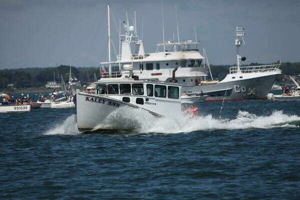 Photo of the 1982 Stanley Greenwood Novi "KALEY ANN"