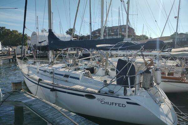 37-ft-Hunter-1987-37 Legend-TOO CHUFFED-Annapolis Maryland United States yacht for sale