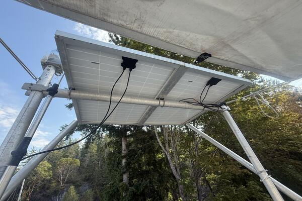 Glouton 40ft Meta Yacht For Sale