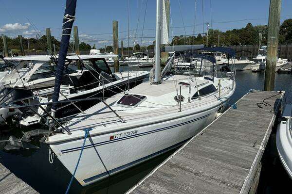 Photo of the 2008 Catalina 309
