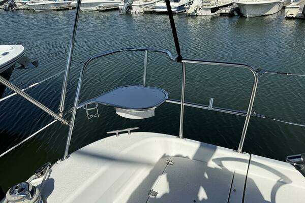Photo of the 2008 Catalina 309