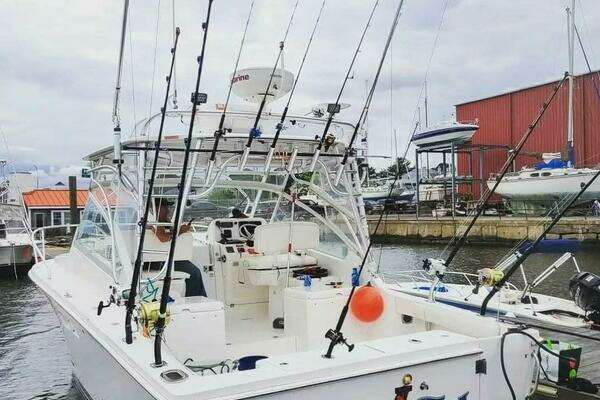 Photo of the 2011 Luhrs 30 Open
