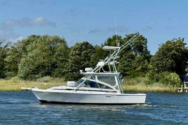 29-ft-Blackfin-1997-29 Combi-Escapade-Point Pleasant New Jersey United States yacht for sale