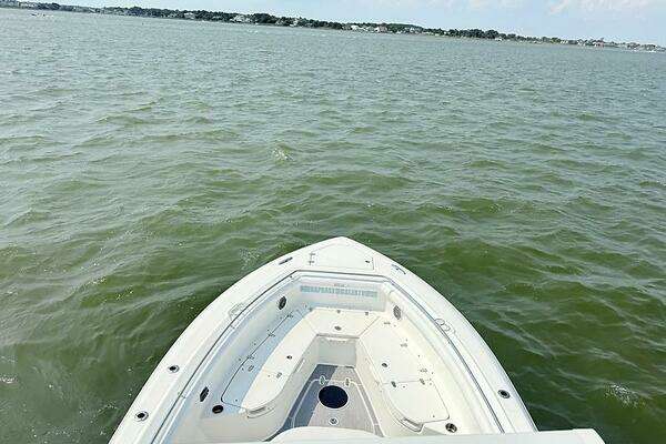 2014 Boston Whaler 35
