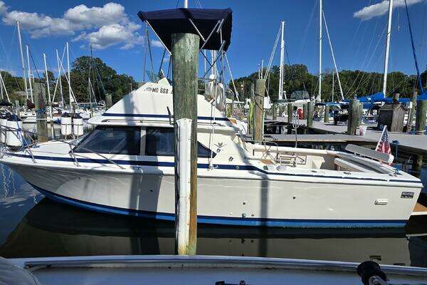 28-ft-Bertram-1983-28 Flybridge-SoulShine North Beach Maryland United States  yacht for sale