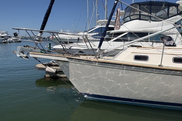 Photo of the 1995 Island Packet 40 "Dream Flower"