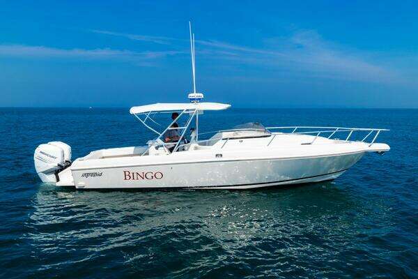 Photo of the 1995 Intrepid 